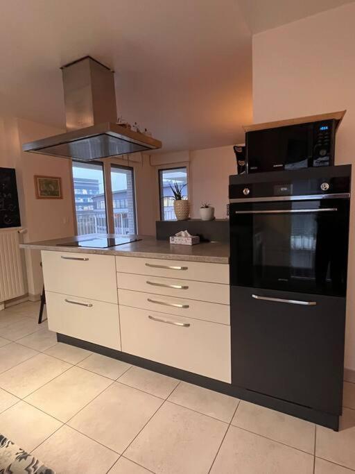 Appartement Spacious & Cosy Flat Massy (Essonne)